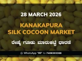 Kanakapura Silk Cocoon Market Rates – 28 March 2026