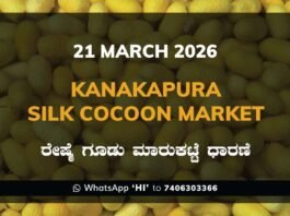 Kanakapura Silk Cocoon Market Rates – 21 March 2026