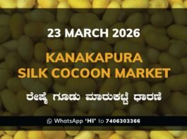 Kanakapura Silk Cocoon Market Rates – 23 March 2026