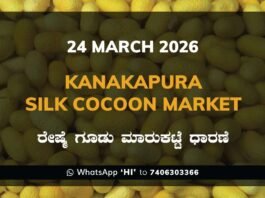 Kanakapura Silk Cocoon Market Rates – 24 March 2026