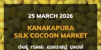 Kanakapura Silk Cocoon Market – 25 March 2026 Kanakapura Silk Cocoon Market Rates – 25 March 2026