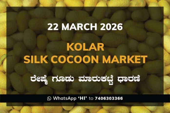 Kolar Silk Cocoon Market Rates – 22 March 2026