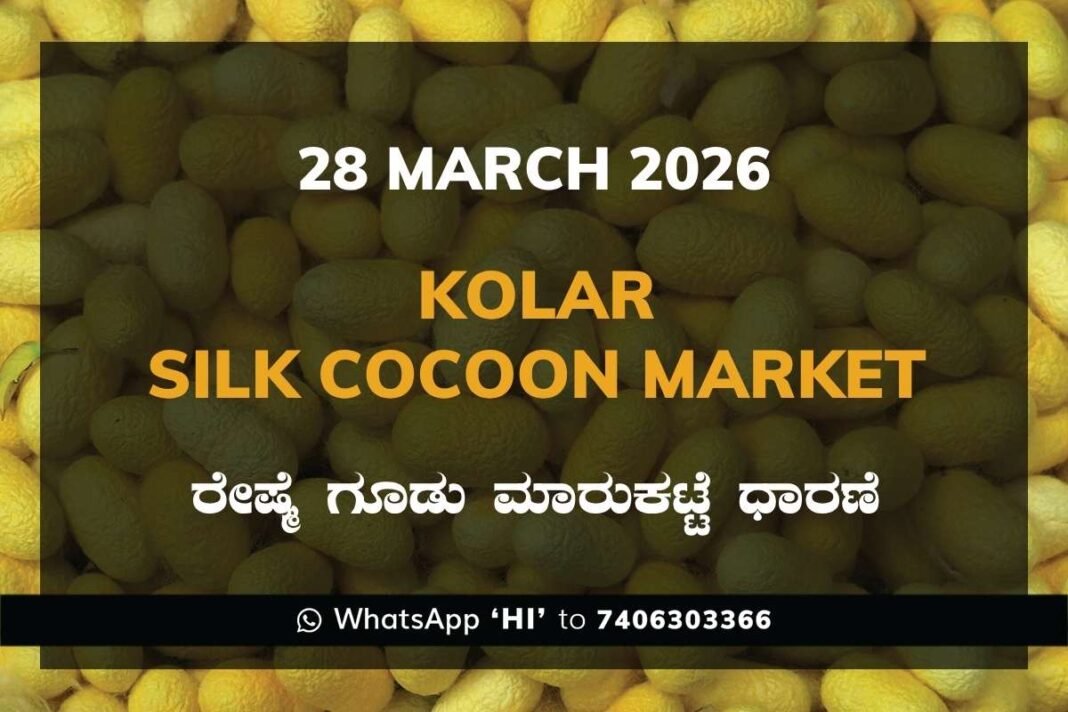Kolar Silk Cocoon Market Rates – 28 March 2026