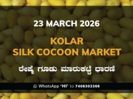 Kolar Silk Cocoon Market Rates – 23 March 2026