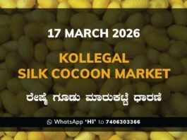 Kollegal Silk Cocoon Market Rates – 17 March 2026