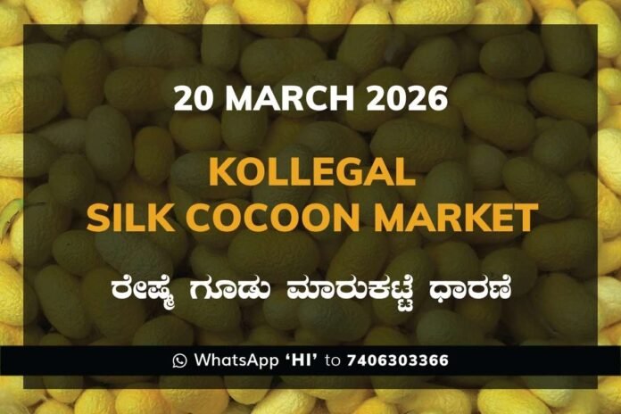 Kollegal Silk Cocoon Market 20 March 2026