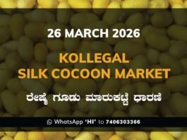 Kollegal Silk Cocoon Market – 26 March 2026 Kollegal Silk Cocoon Market Rates – 26 March 2026
