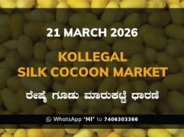 Kollegal Silk Cocoon Market Rates – 21 March 2026