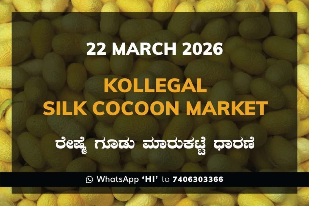 Kollegal Silk Cocoon Market Rates – 22 March 2026