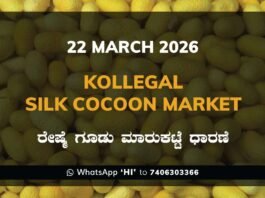 Kollegal Silk Cocoon Market Rates – 22 March 2026