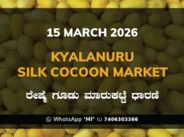 Kyalanuru Silk Cocoon Market Rates – 15 March 2026