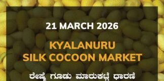 Kyalanuru Silk Cocoon Market – 21 March 2026 Kyalanuru Silk Cocoon Market Rates – 21 March 2026