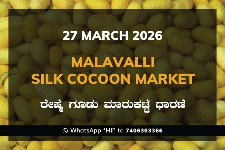 Malavalli Silk Cocoon Market – 27 March 2026