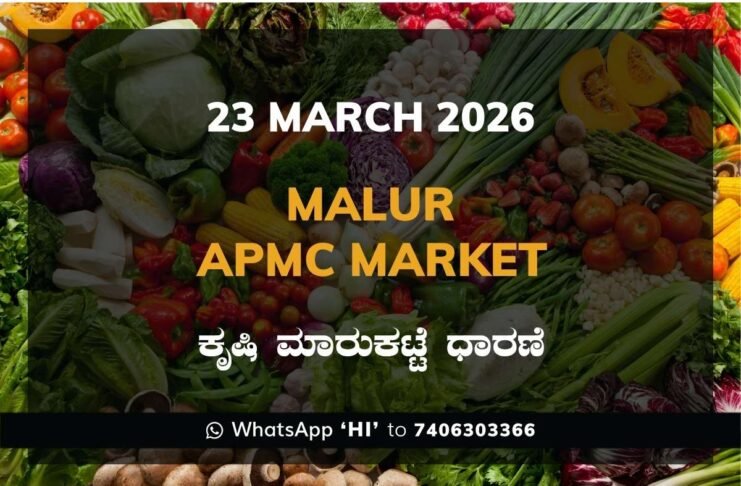 Malur APMC Market Rates – 23 March 2026
