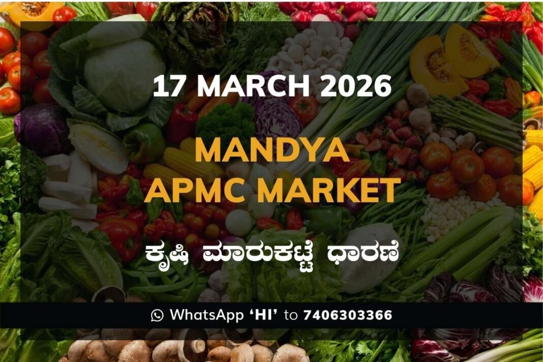 Mandya APMC Market Rates – 17 March 2026