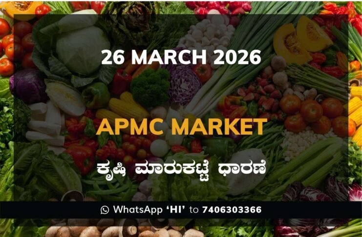 Mangaluru APMC Market Rates – 26 March 2026