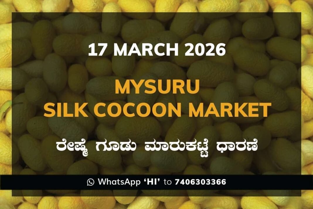 Mysuru Silk Cocoon Market Rates – 17 March 2026