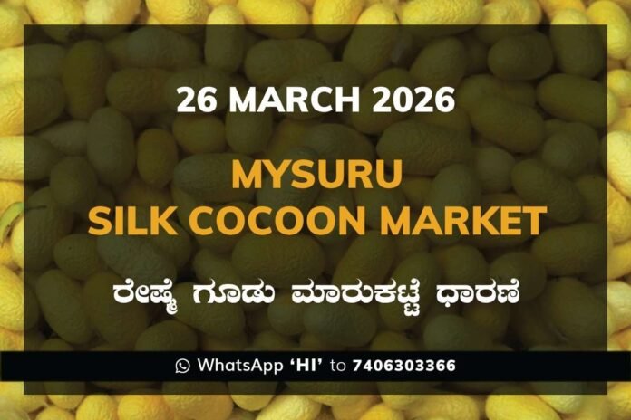 Mysuru Silk Cocoon Market Rates – 26 March 2026