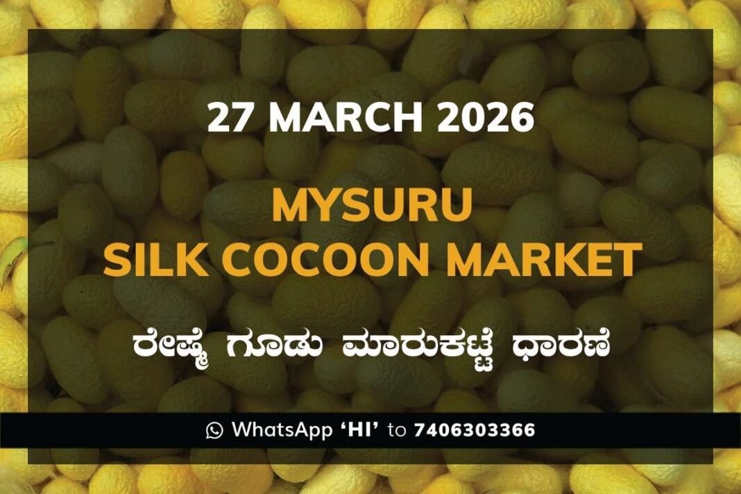 Mysuru Silk Cocoon Market – 27 March 2026
