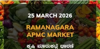 Ramanagara APMC Agriculture Market: 25 March 2026 Ramanagara APMC Market Rates – 25 March 2026