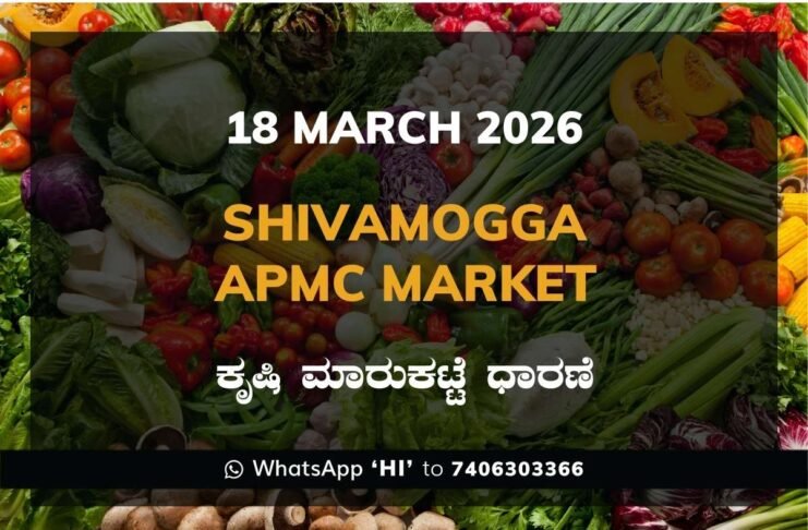 Shivamogga APMC Market Rates – 18 March 2026
