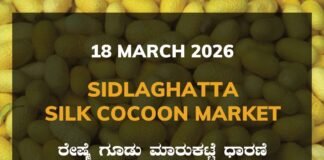 Sidlaghatta Silk Cocoon Market – 18 March 2026 Sidlaghatta Silk Cocoon Market Rates – 18 March 2026
