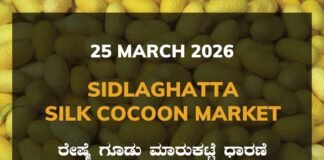 Sidlaghatta Silk Cocoon Market – 25 March 2026 Sidlaghatta Silk Cocoon Market Rates – 25 March 2026