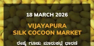 Vijayapura Silk Cocoon Market – 18 March 2026 Vijayapura Silk Cocoon Market Rates – 18 March 2026