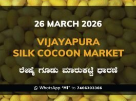 Vijayapura Silk Cocoon Market – 26 March 2026