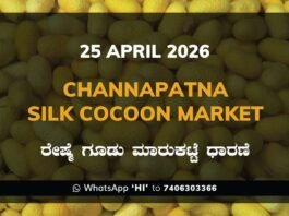 Channapatna Silk Cocoon Market – 23 April 2026
