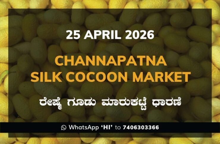 Channapatna Silk Cocoon Market – 23 April 2026