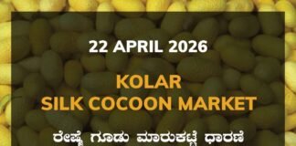 Kolar Silk Cocoon Market – 22 April 2026 Kolar Silk Cocoon Market – 22 April 2026