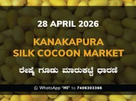 Kanakapura Silk Cocoon Market – 28 April 2026