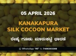 Kanakapura Silk Cocoon Market – 05 April 2026