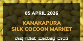 Kanakapura Silk Cocoon Market – 05 April 2026 Kanakapura Silk Cocoon Market – 05 April 2026