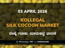 Kollegal Silk Cocoon Market – 03 April 2026