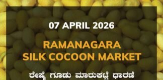 Ramanagara Silk Cocoon Market – 07 April 2026 Ramanagara Silk Cocoon Market – 07 April 2026