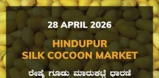 Hindupur Silk Cocoon Market – 28 April 2026 Hindupur Silk Cocoon Market – 28 April 2026