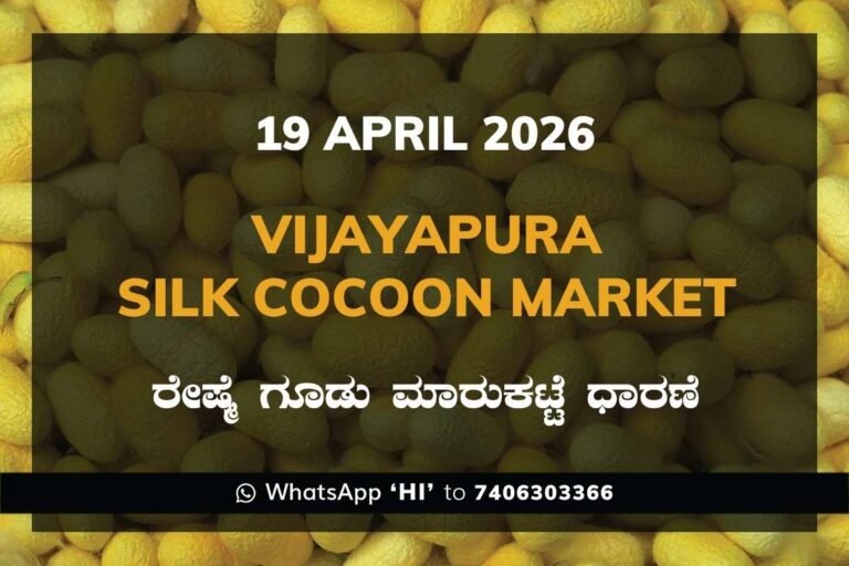 Vijayapura Silk Cocoon Market – 19 April 2026