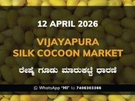 Vijayapura Silk Cocoon Market – 12 April 2026