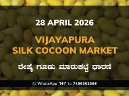 Vijayapura Silk Cocoon Market – 28 April 2026