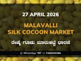 Malavalli Silk Cocoon Market – 27 April 2026