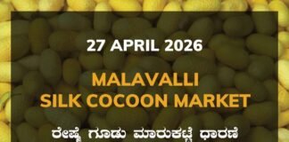 Malavalli Silk Cocoon Market – 27 April 2026 Malavalli Silk Cocoon Market – 27 April 2026