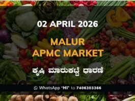 Chitradurga APMC Market Rates – 02 April 2026