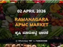 Gauribidanur APMC Market Rates – 02 April 2026