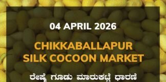 Hindupur Silk Cocoon Market – 04 April 2026