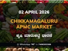 Kanakapura APMC Market Rates – 02 April 2026
