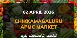 Kanakapura APMC Agriculture Market: 02 April 2026 Kanakapura APMC Market Rates – 02 April 2026