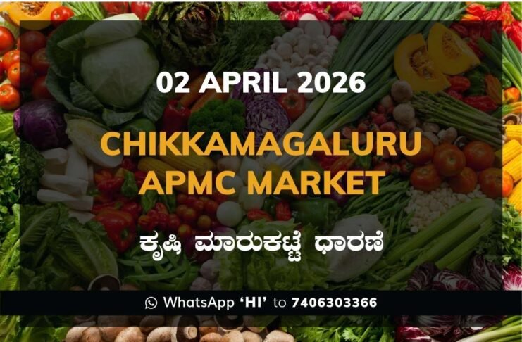 Kanakapura APMC Market Rates – 02 April 2026