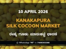 Kanakapura Silk Cocoon Market Rates – 10 April 2026
